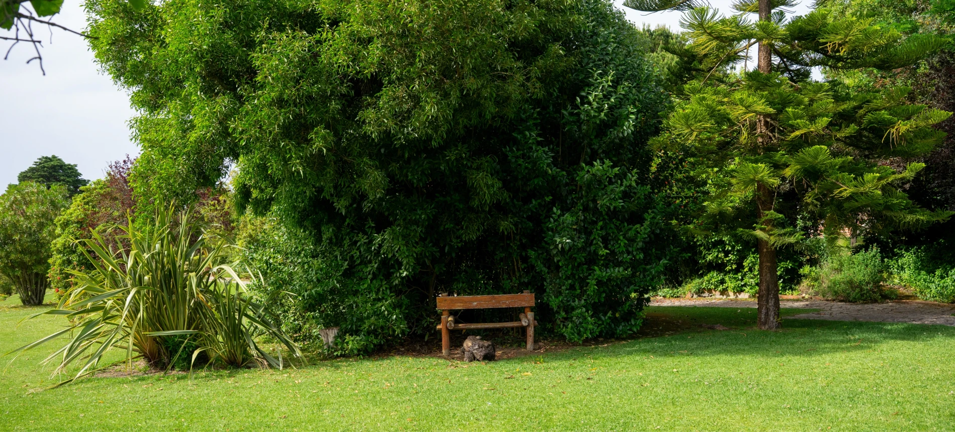 The initial formation process of a Handmaid goes through several stages