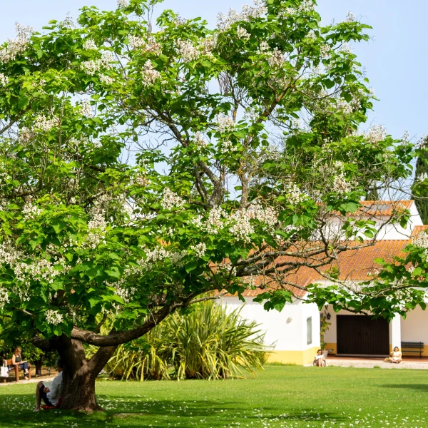 Nous Faisons - Maison de Prière