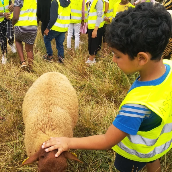 Association Raphaëlle Marie